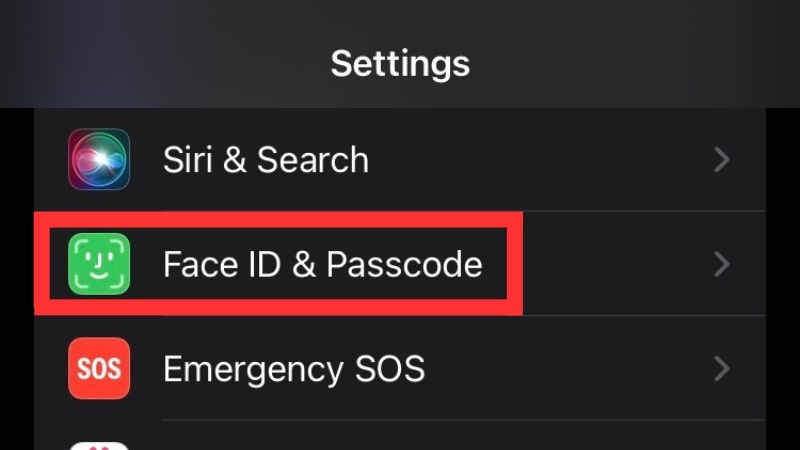 Mở Settings (Cài đặt) và chọn Face ID & Passcode (Face ID và mật khẩu)